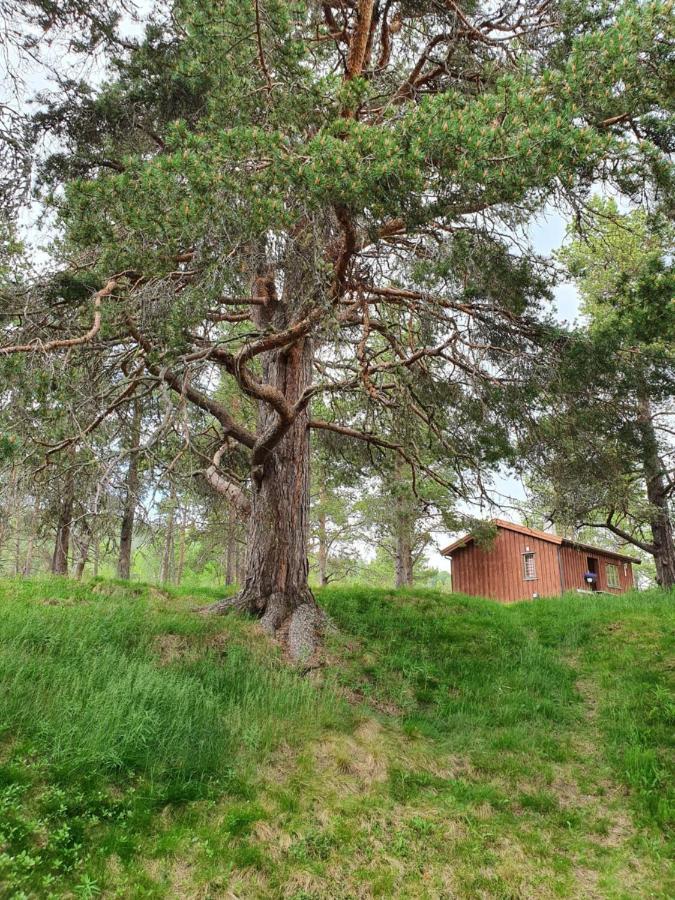 Borkhushyttene Villa Rundtom Eksteriør bilde